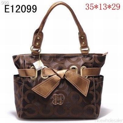 Coach handbags123